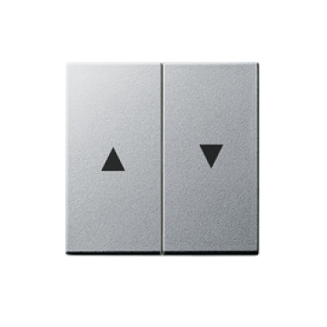 Gira rocker 2-gang with arrow symbol, aluminium